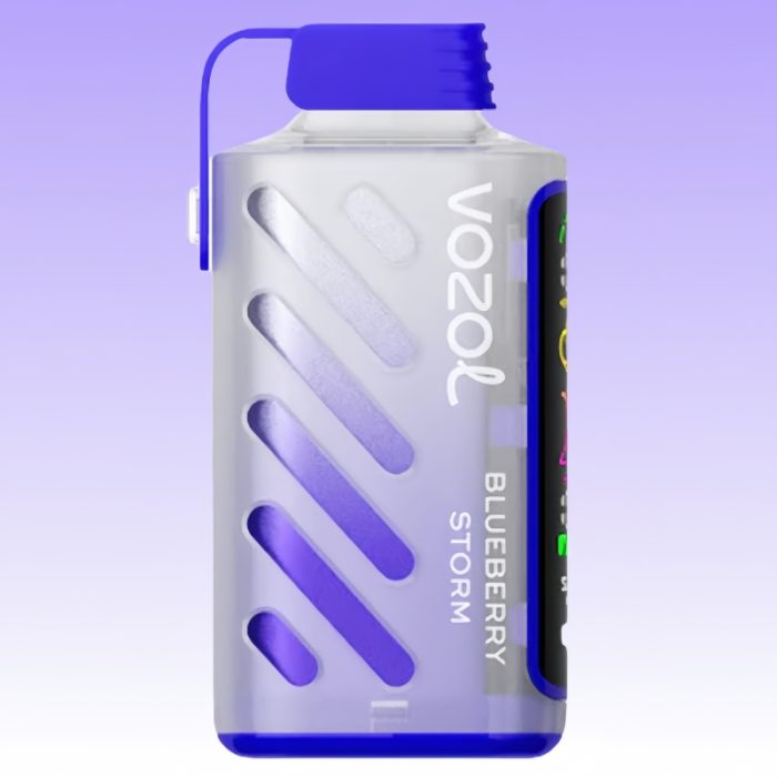 Vozol Gear Power 20000 Blueberry Storm Maku