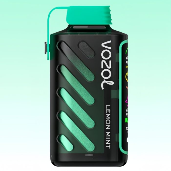 Vozol Gear Power 20000 Lemon Mint Maku