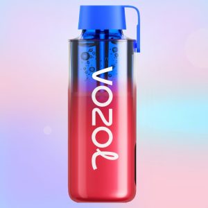 Vozol Neon 10000 Strawberry Watermelon Maku