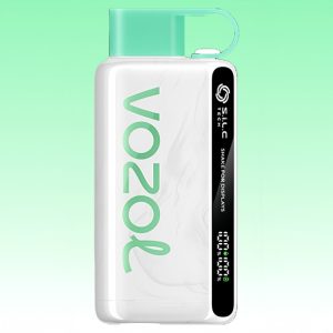 Vozol Star 12000 Cool Mint