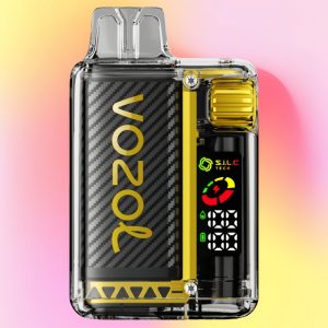Vozol Vista 20000 Mango Ice maku