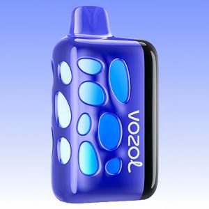 Vozol Rave 40000 Blueberry Ice Maku