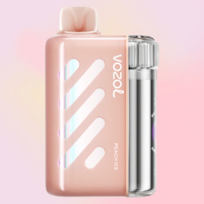 Vozol Vista 40000 Peach Ice Maku