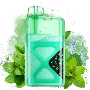 Vozol Neon 60000 SpearMint